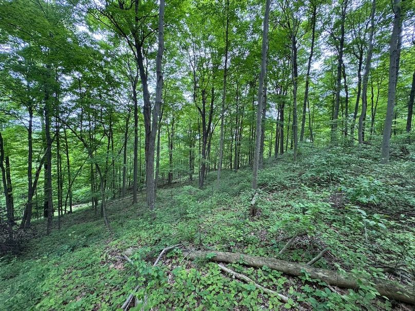 Pleasants, WV 168.59 AC Superior, Swank, Young-092