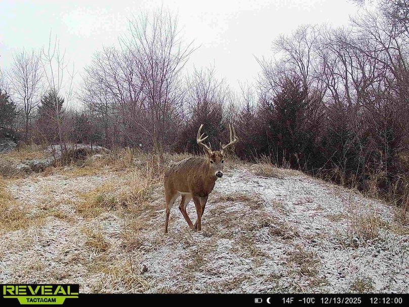 865814040443812-20-2-12132025121200-HD-W1004167