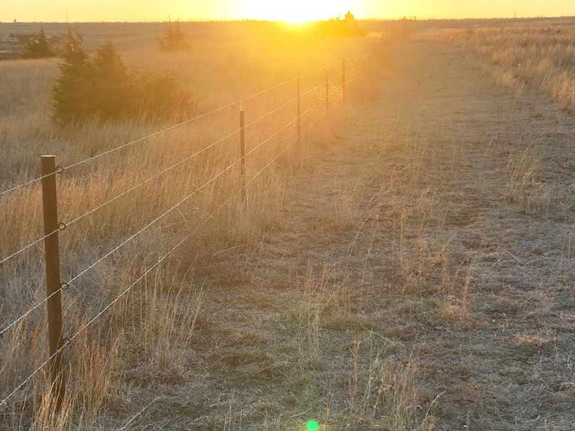 dji_fly_20240404_072826_890_1712233856067_photo