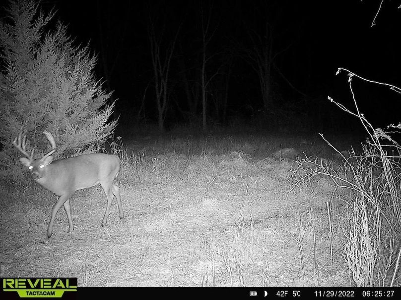 865814040391078-100-2-11292022062528-HD-W1000334