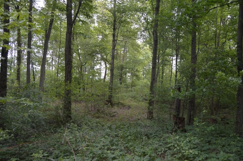Trail along east border