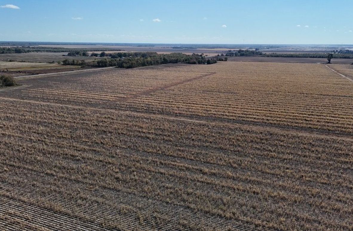 DJI_20251116020413_0896_D