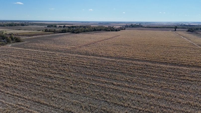 DJI_20251116020413_0896_D