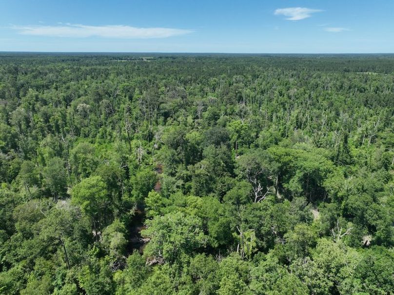 dji_fly_20250522_163614_263_1747959920151_photo