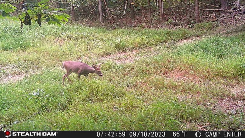 23091007425801000265