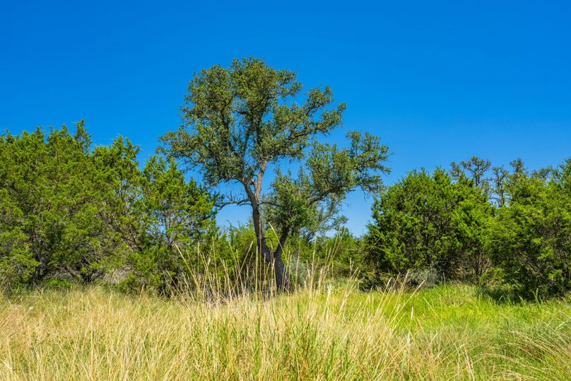 11-web-or-mls-DSC08283