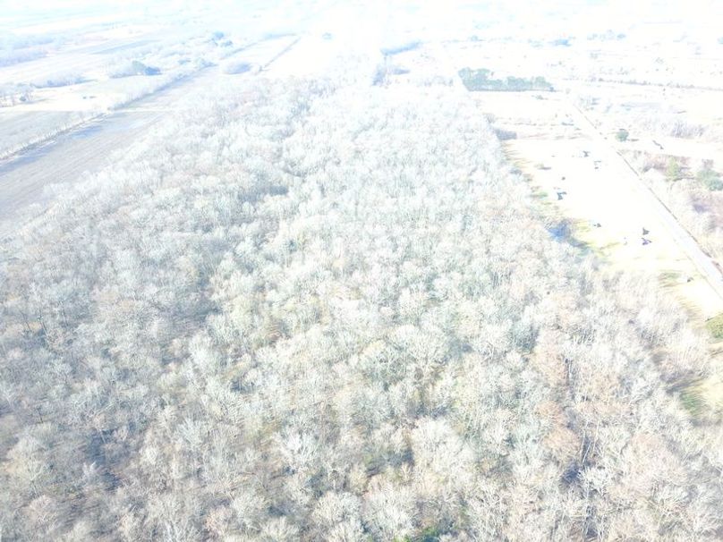 DJI_0005