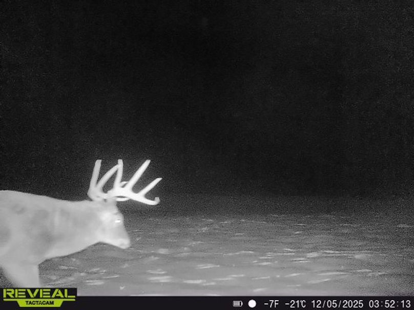 Copy of Trail photos.10