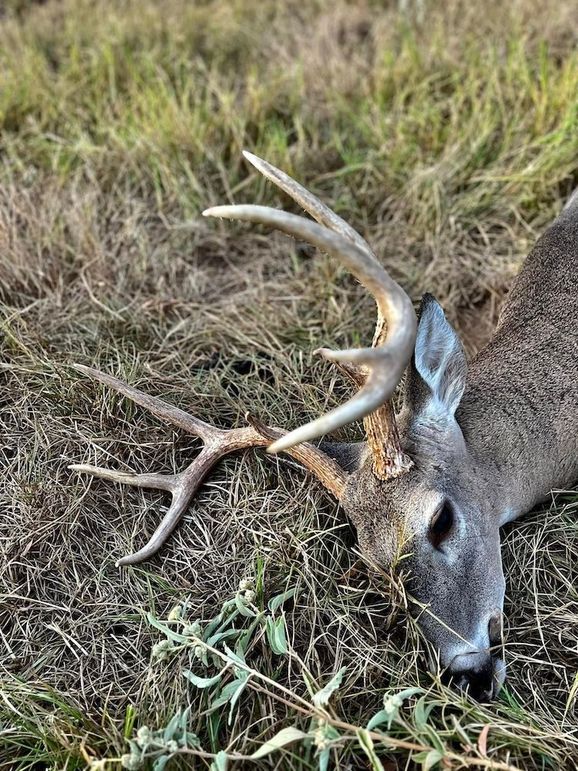 1 518274931_10161976276394830_7837384489432357034_n