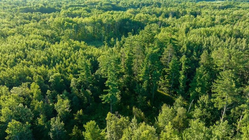 Cass MN 1095 Featured ProPhoto-87