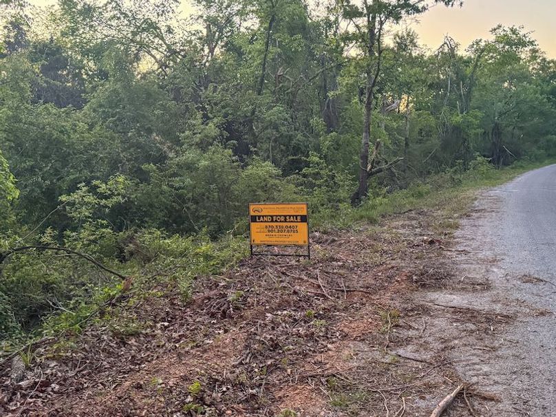 Tallahatchie 44 Newman (Crowden) Wide-57