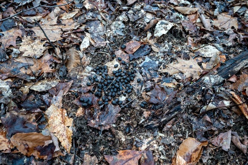 Copy of DSC_4557-Edit Large