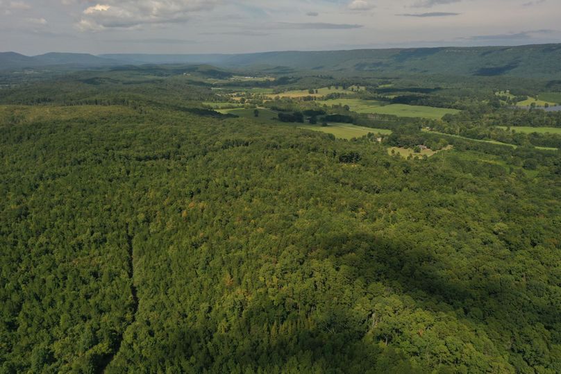 DJI_0603