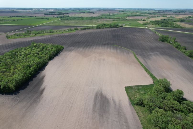 dji_fly_20260528_110010_375_1779984287088_photo