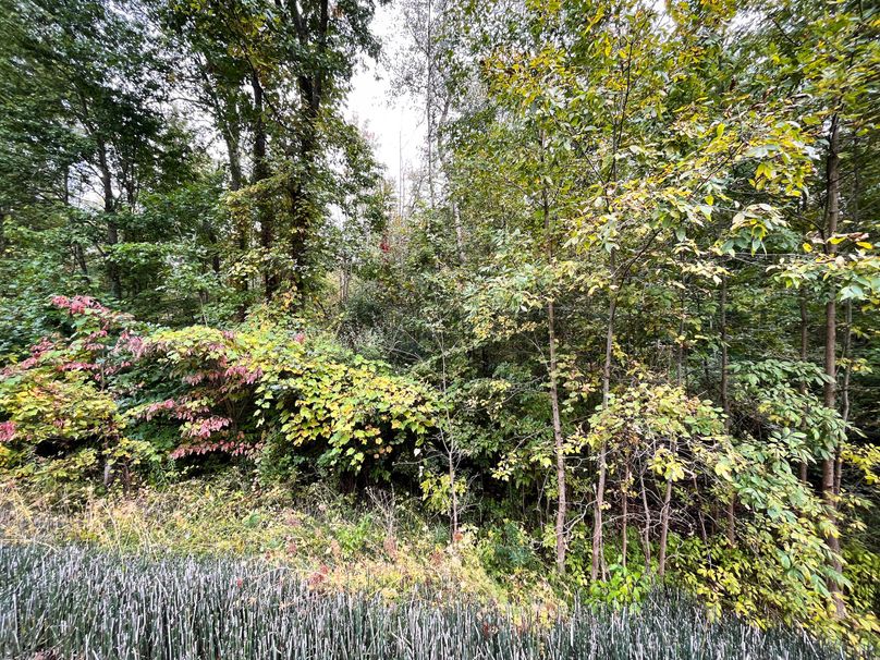 Ontario_16.2_Eddington Photo 32