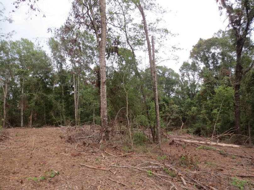 4E6CB0AE-6C30-4E15-A0C8-53DCBBA395BA_1_105_c