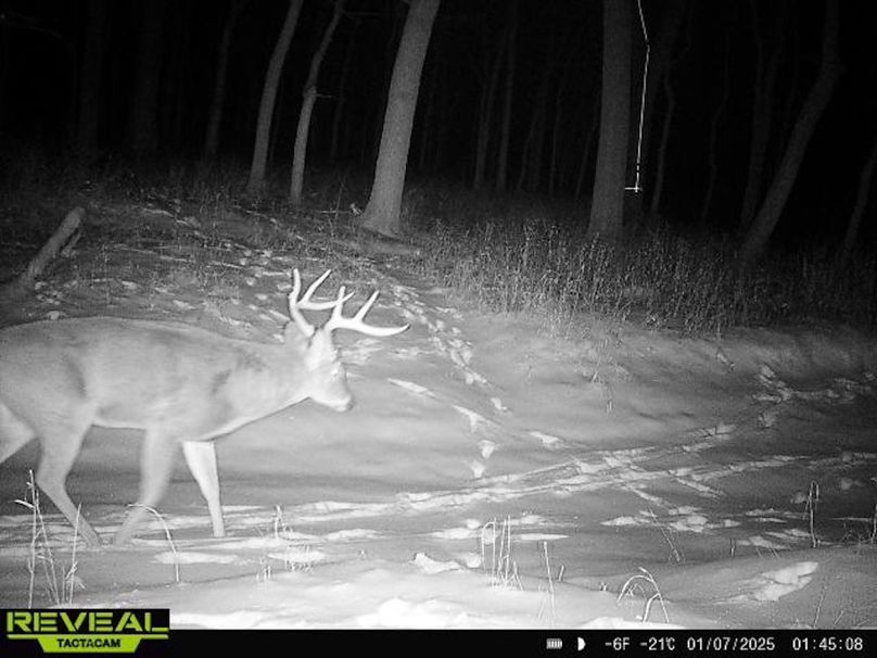 865814043089521-70-4-01072025014508-W1021343