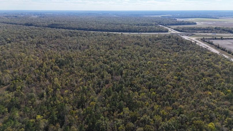 dji_fly_20251106_035712_0104_1762382138476_photo