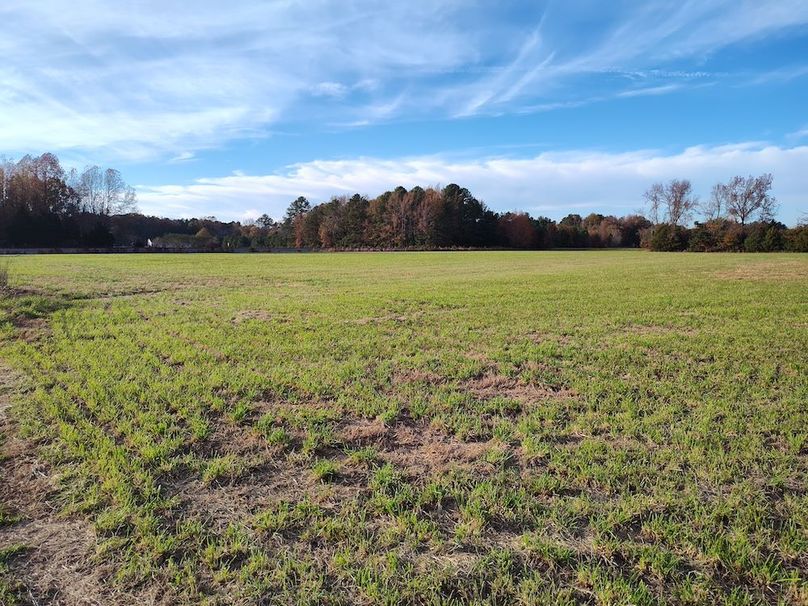 IMG_20251105_154047079