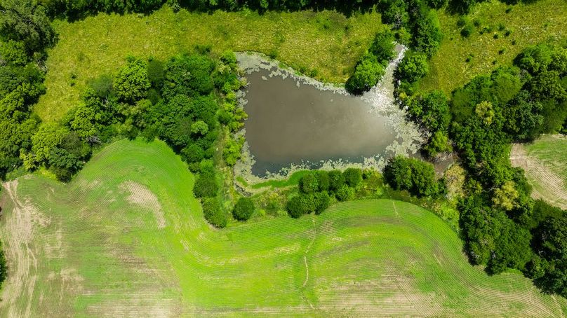 DJI_0173
