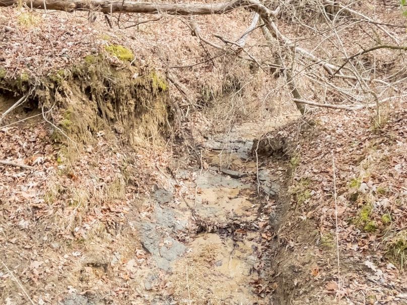 Yazoo Co - 75 - Batton-25