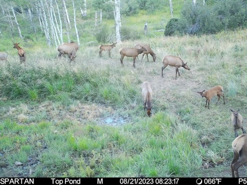 1F43CBAC-1C14-4A7F-A3C7-F06772E2D6D9