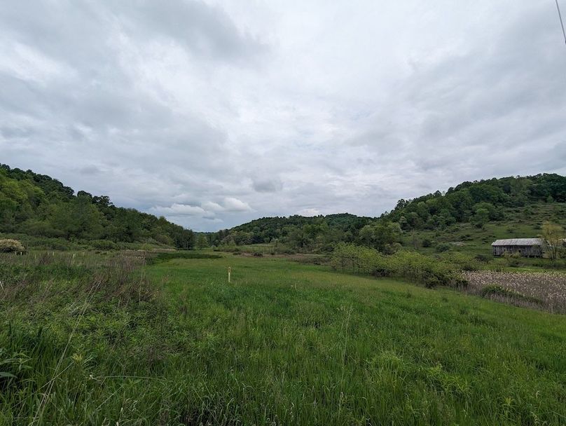 PXL_20240515_153823869