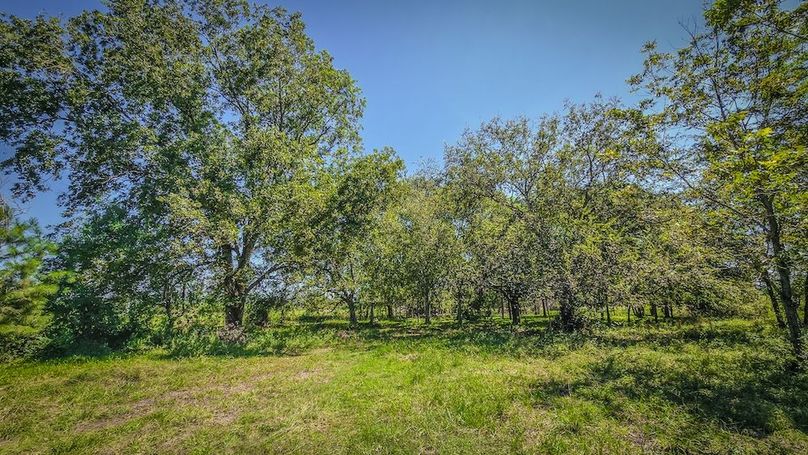 Copy of 20240909_115800