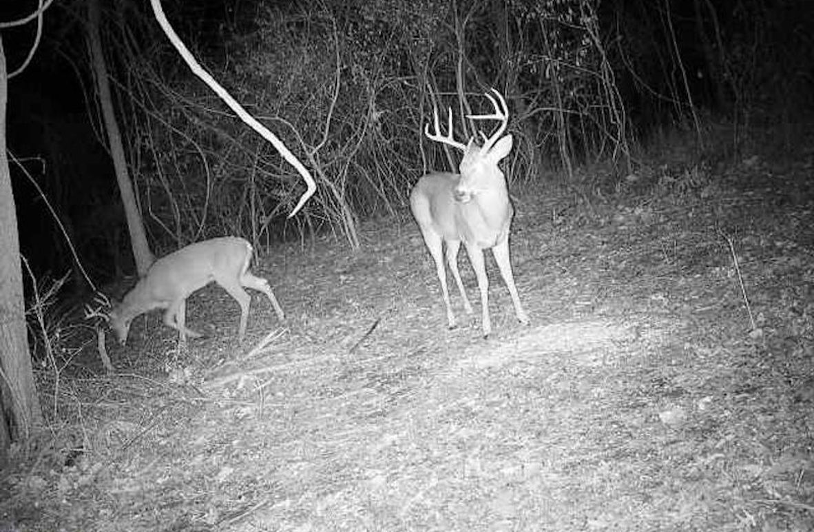 868032063661643-90-4-01042025041730-W1018795