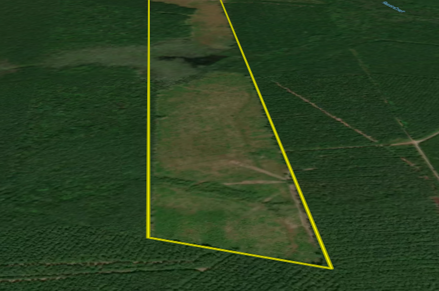 Bertie Co, NC 126.25 - White Laydown