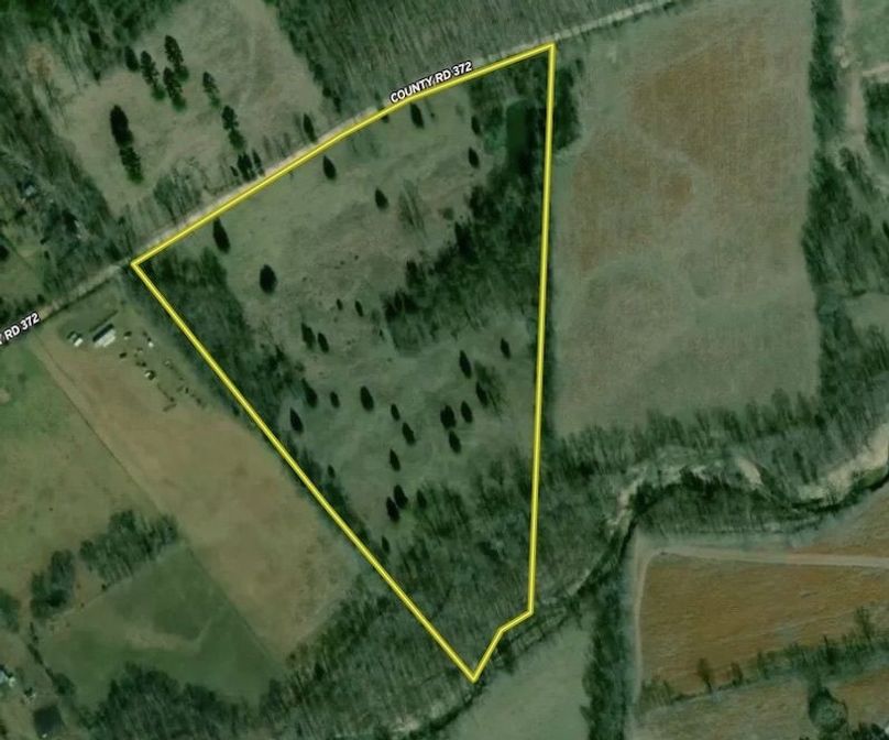 Image 4-25-24 at 4.38 PM