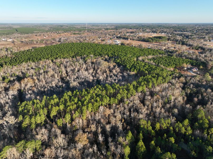 dji_fly_20231229_082738_985_1703856678497_photo