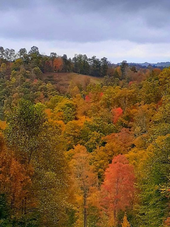 037 the fall time is more like a painting here in these mountains