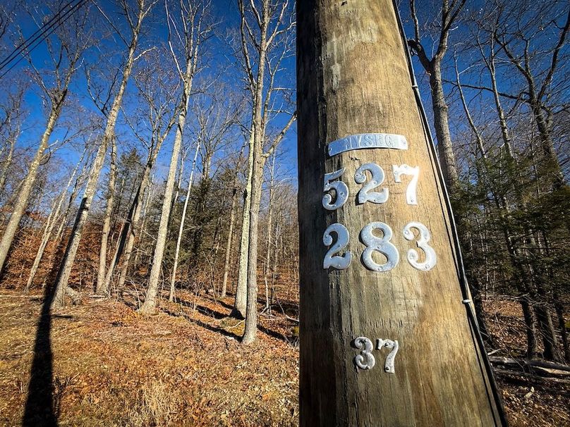 Chemung_31.75_Seymour_North_Photos_6