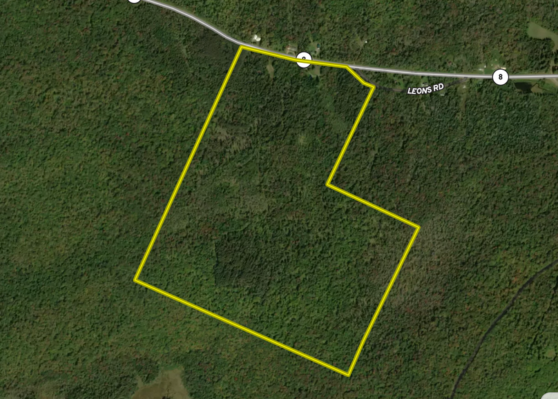 Hamilton County NY 189.72 Flower Property Map
