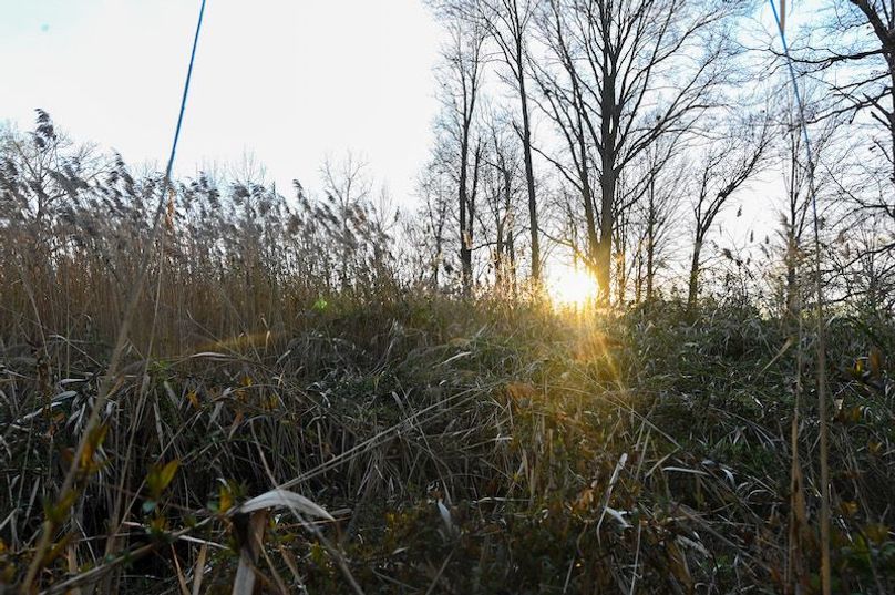 vandalia 450 (2)-2301