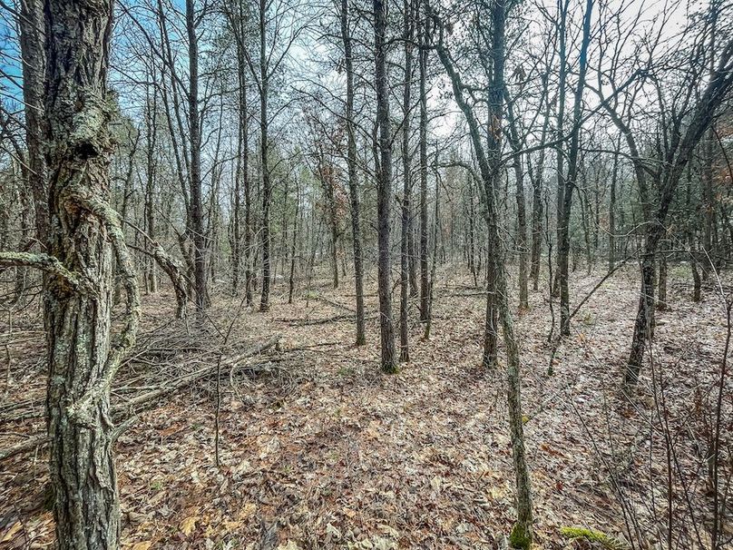 Adams 10.06 Johnson-29