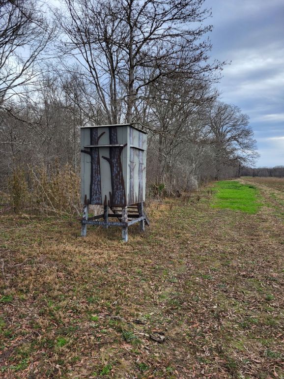 706069A3-09BC-4BAA-A807-DC42FEE0CC00