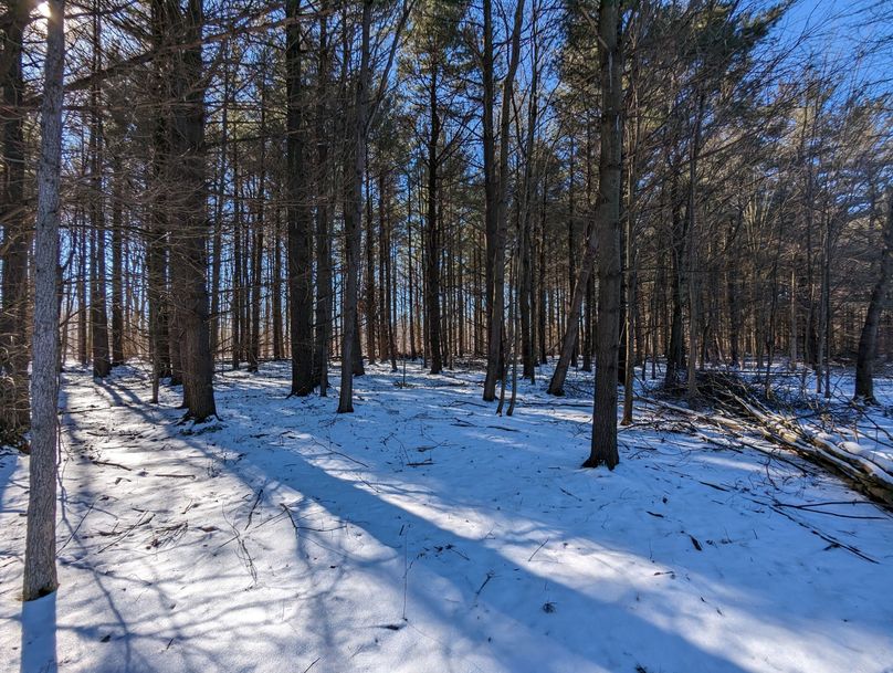 PXL_20230202_170209270