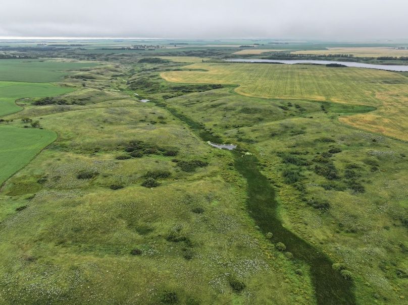 Copy of DJI_20250704133305_0607_D