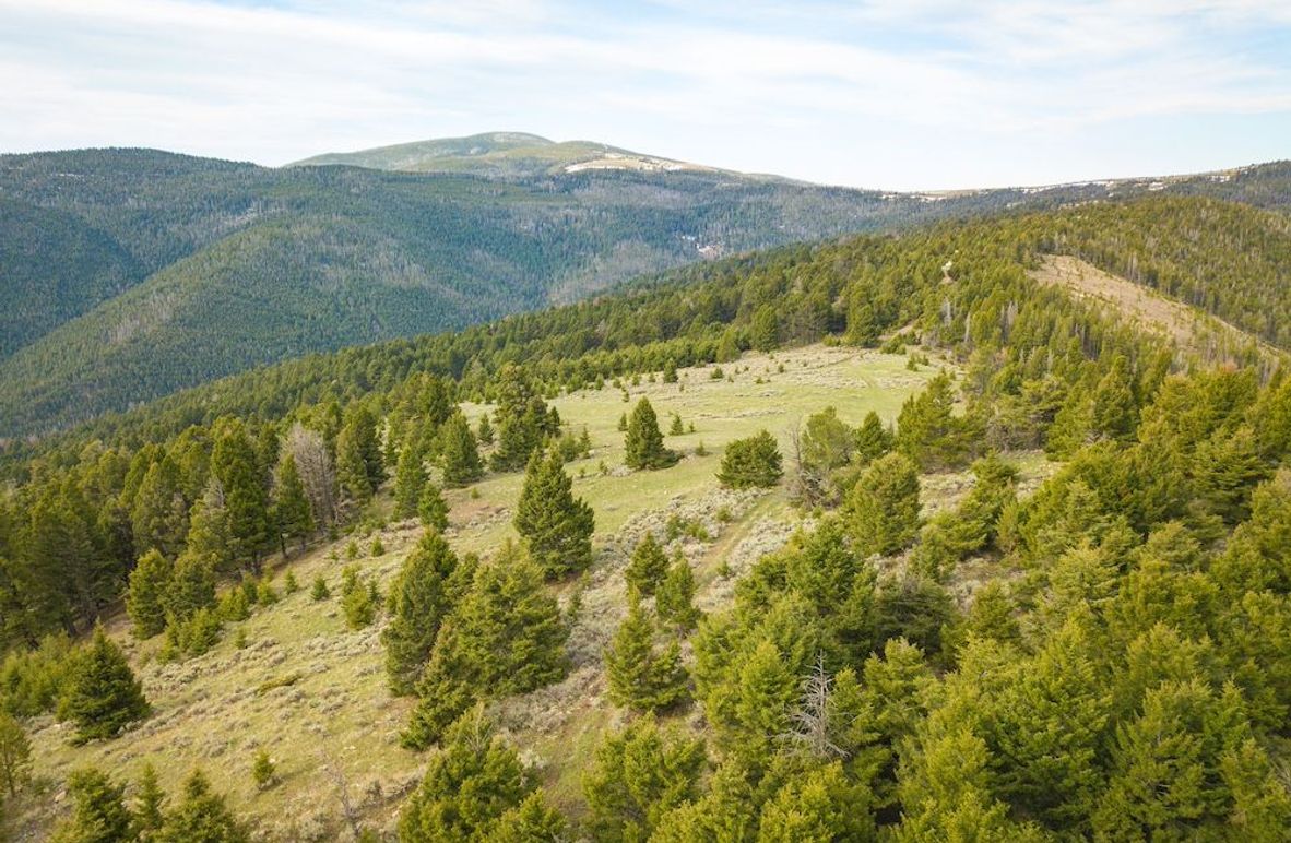 1. 20240513-DJI_0030