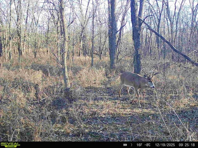 868032063454007-100-2-12202025160854-HD-SYFW0868