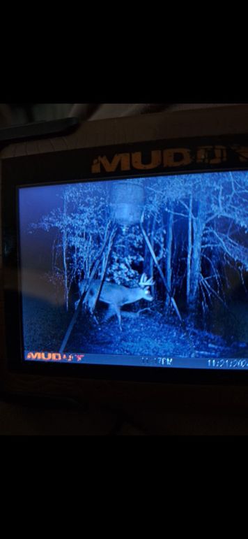 Deer Hutch