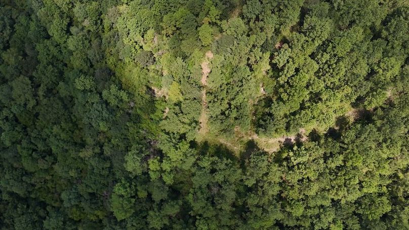 DJI_20240812130228_0005_D
