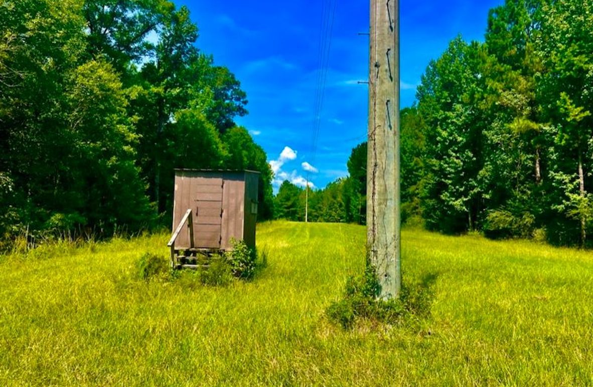 1ACED833-A57B-46E1-BD43-A02F15CECEBF_1_105_c