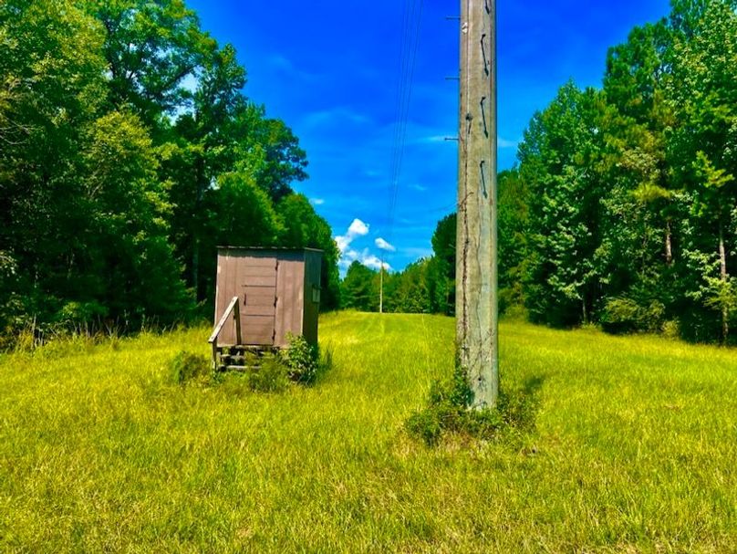 1ACED833-A57B-46E1-BD43-A02F15CECEBF_1_105_c