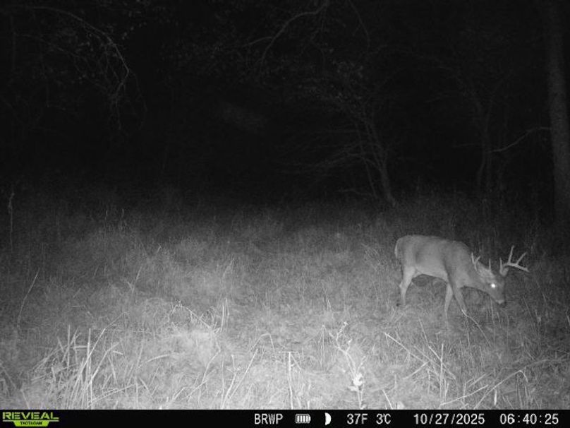 860322065236702-100-4-10272025064024-W1000369