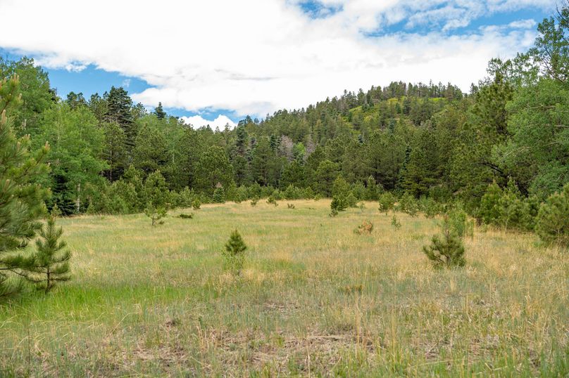 Copy of Los Alamos 508 6-24-17