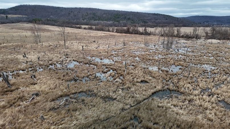 DJI_20260312143927_0023_D