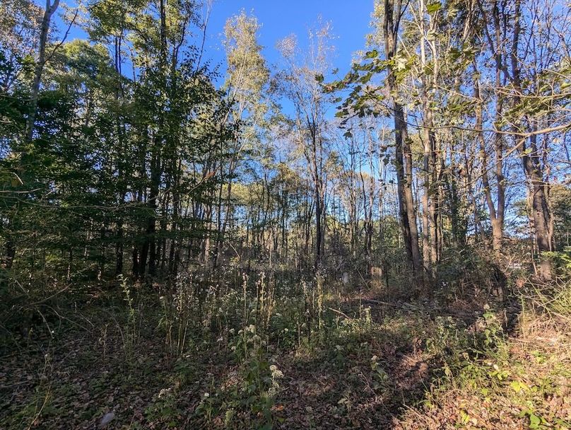 PXL_20251001_211654441